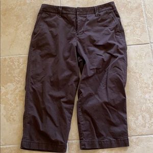 Sonoma Brown Capris